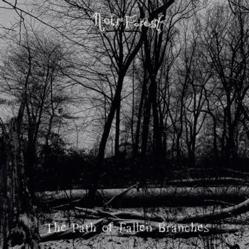 Noir Forest : The Path of Fallen Branches